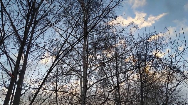 АБАКУМОВ ДЕНЬ 15 декабря.ЭТО приведет к БЕДЕ.Придется громко ПЛАКАТЬ смотреть онлайн