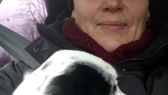 КАК ВЗЯТЬ СОБАКУ ИЗ ПРИЮТА.///ЗА ЩЕНКОМ В ПРИЮТ)))