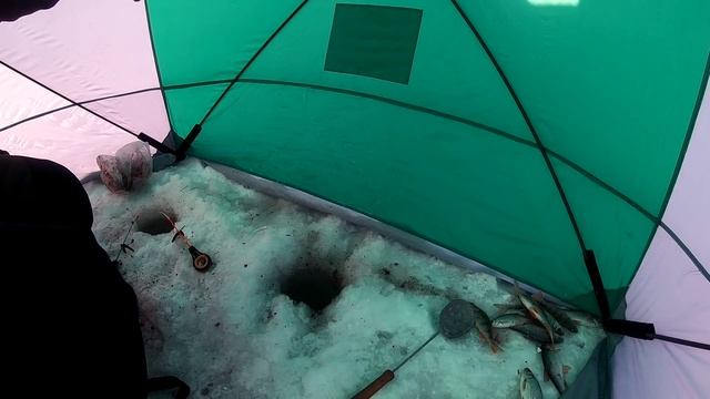 Зимняя рыбалка в палатке куб или Зима, мороз рыбалке не помеха смотреть онлайн