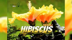 "HIBISCUS"  Soca Instrumental 2019 | Farmer Nappy Type  (Prod. by Joey2kool)