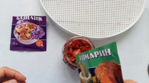 КАК ПРИГОТОВИТЬ ВЯЛЕНЫЕ ПОМИДОРЫ  |  HOW TO MAKE dried tomatoes