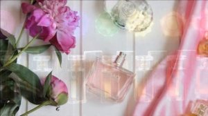 Торговля духами как бизнес | Духи на розлив