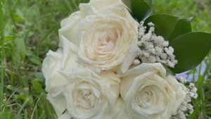 Свадебный клип