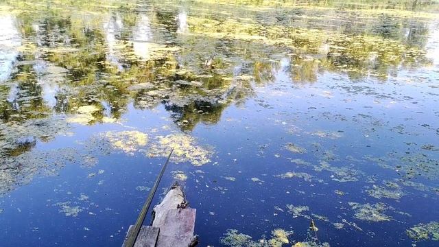 Озеро Гнилуша, Киев. Попытка разведать место клёва. смотреть онлайн