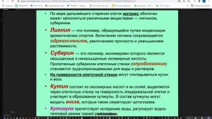 Растительная клетка. Лекция 1 | Ботаника