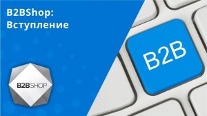 B2BShop: Вступление