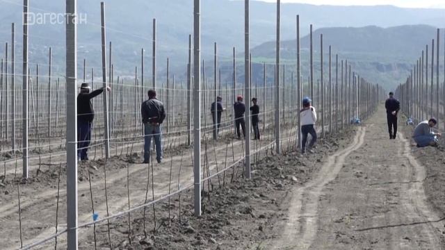 Итоги работы за 2022 год Минимущества РД смотреть онлайн