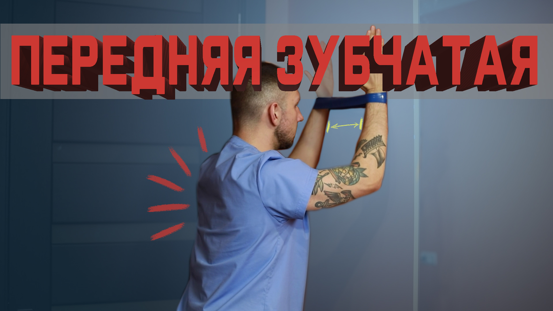 Как натренировать переднюю зубчатую мышцу? | Разбор Упражнений