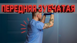Как натренировать переднюю зубчатую мышцу? | Разбор Упражнений