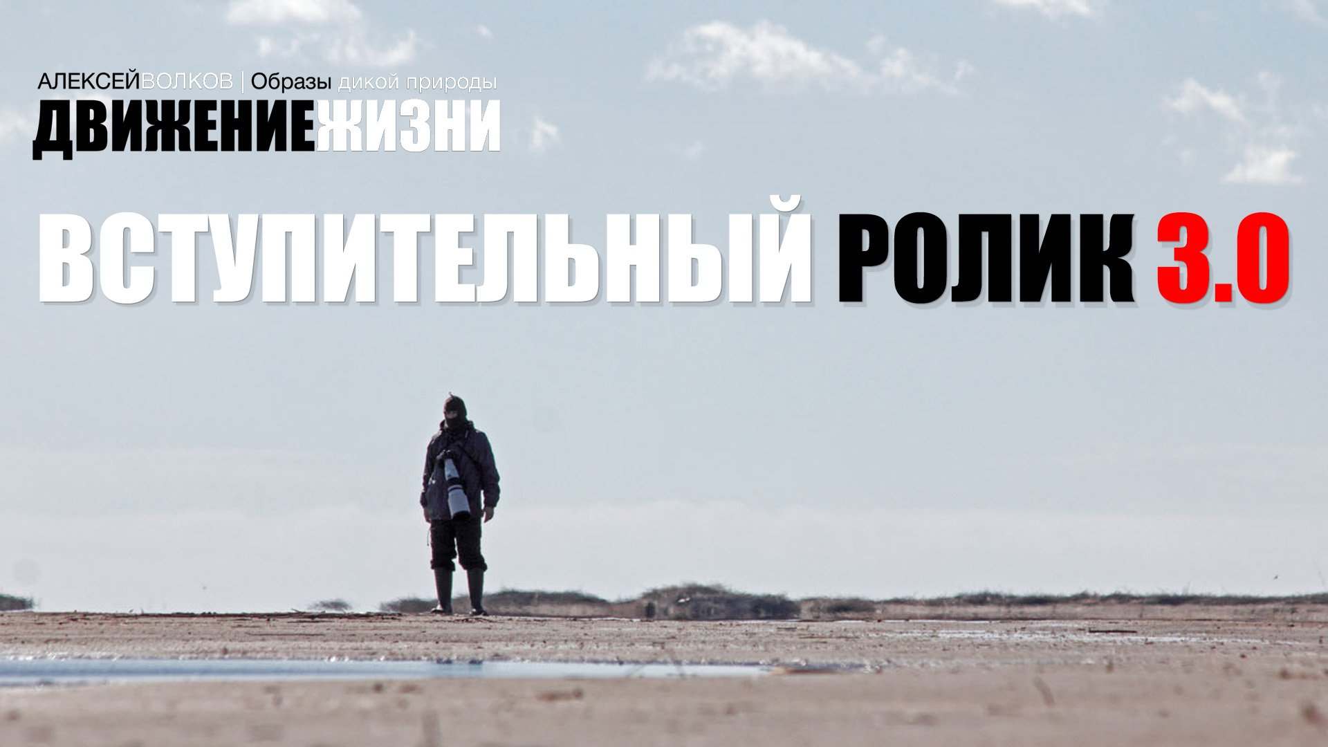 ДвижениеЖизни: образы дикой природы - вступительный видеоролик 3.0 (WildLifeMotion)
