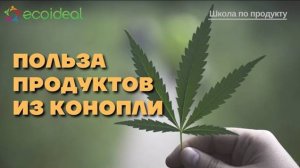 Польза продуктов из конопли _ Конопляная линейка компании Ecoideal