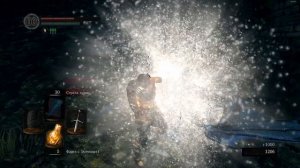 Dark Souls Remastered  #8  -  Долина Драконов