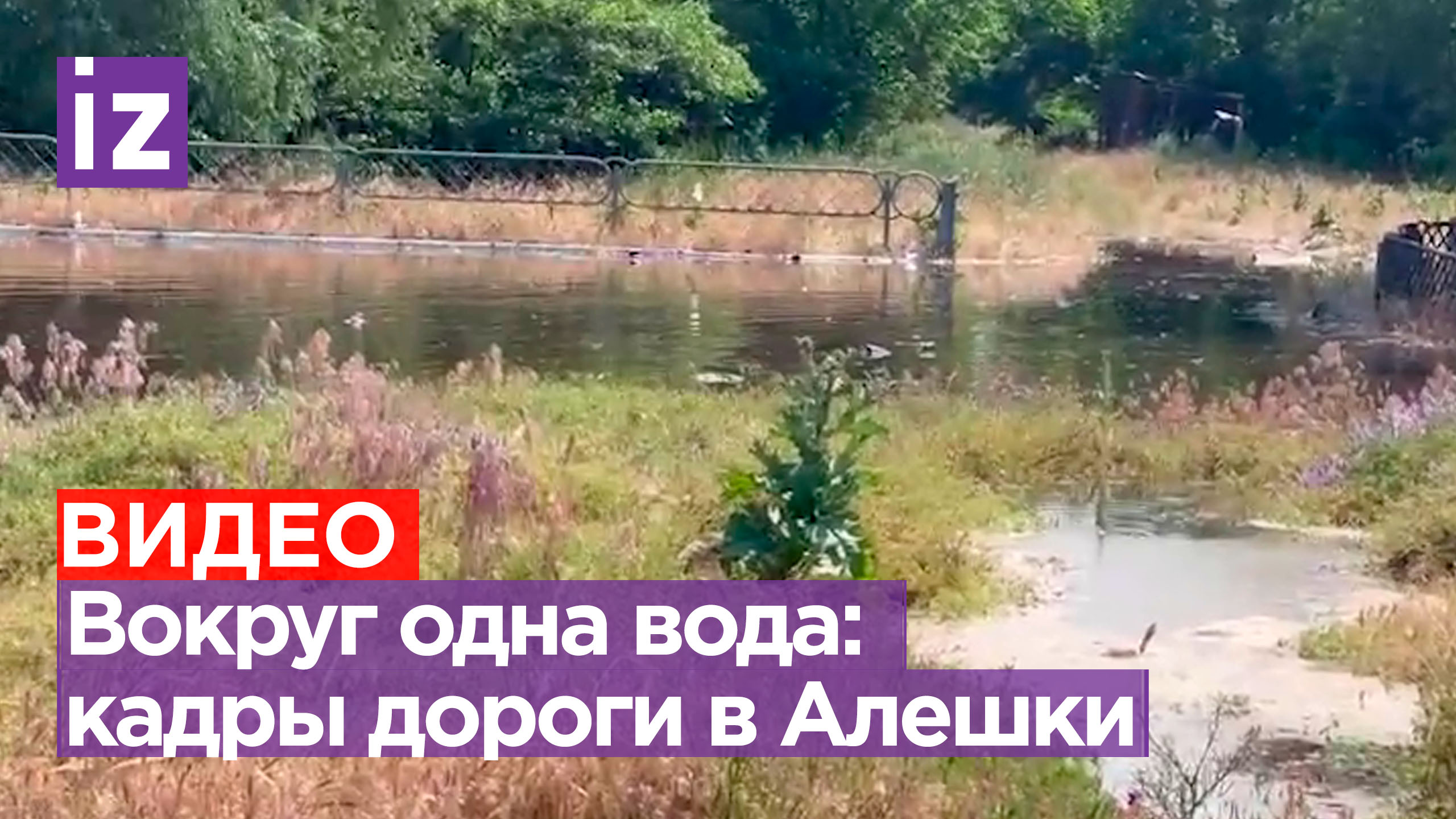 «Река на сотни метров. До горизонта — одна вода»: корреспондент «Известий» показал дорогу в Алешки