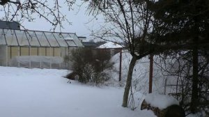 Куда поставить теплицу