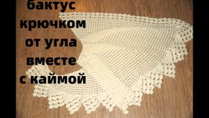 Вяжем бактус  крючком вместе с красивой  каймой .Мастер- класс.