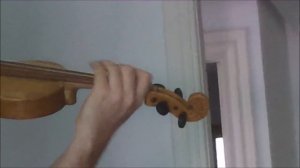 Violin - gudok 4/4 (Test 460