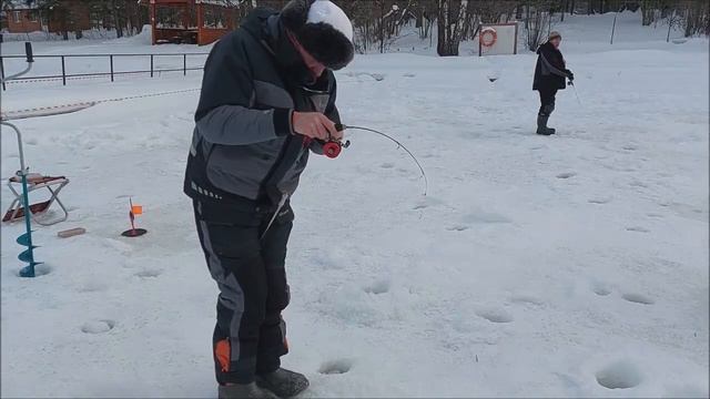 Форель лучше отзывается на раттлины. Клёвое место, Лосиный остров, спорт-зона.