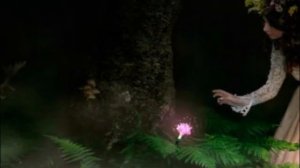 ЦВЕТОК ПАПОРОТНИКА