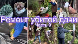 Ремонт убитой дачи. Часть 9 | Огород | Спанбонд | Смородина | Обрезка деревьев | Дача | Пересадка