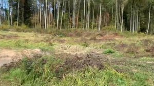 Спалили ремень polaris rzr! Stels Guepard 650 vs 800 в грязи