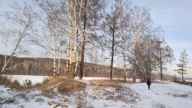 Воскресная прогулка.#люблюжизнь#природасибири#лесогорск#иркутскаяобласть#осень23