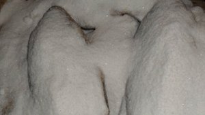 Как солить язя