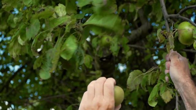 lifeCYCLE Magazine Trailer 2017 - Roadbike & Gravelbike смотреть онлайн