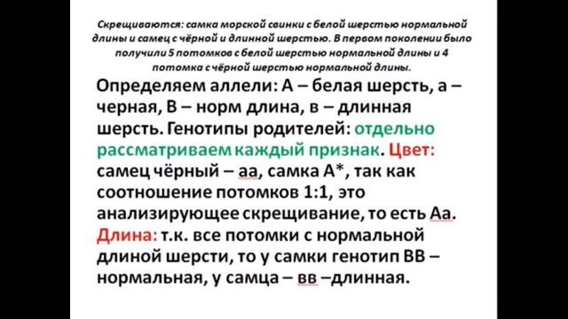 ЕГЭ №29 (РАНЕЕ № 28): Решение при заданном численном соотношении фенотипов