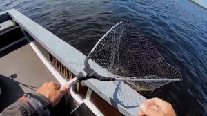 Рыбаки ПРО НЕЁ НЕ ГОВОРЯТ! Просто ЛОВЯТ МНОГО! Кросспинтейл лучшая приманка на щуку!