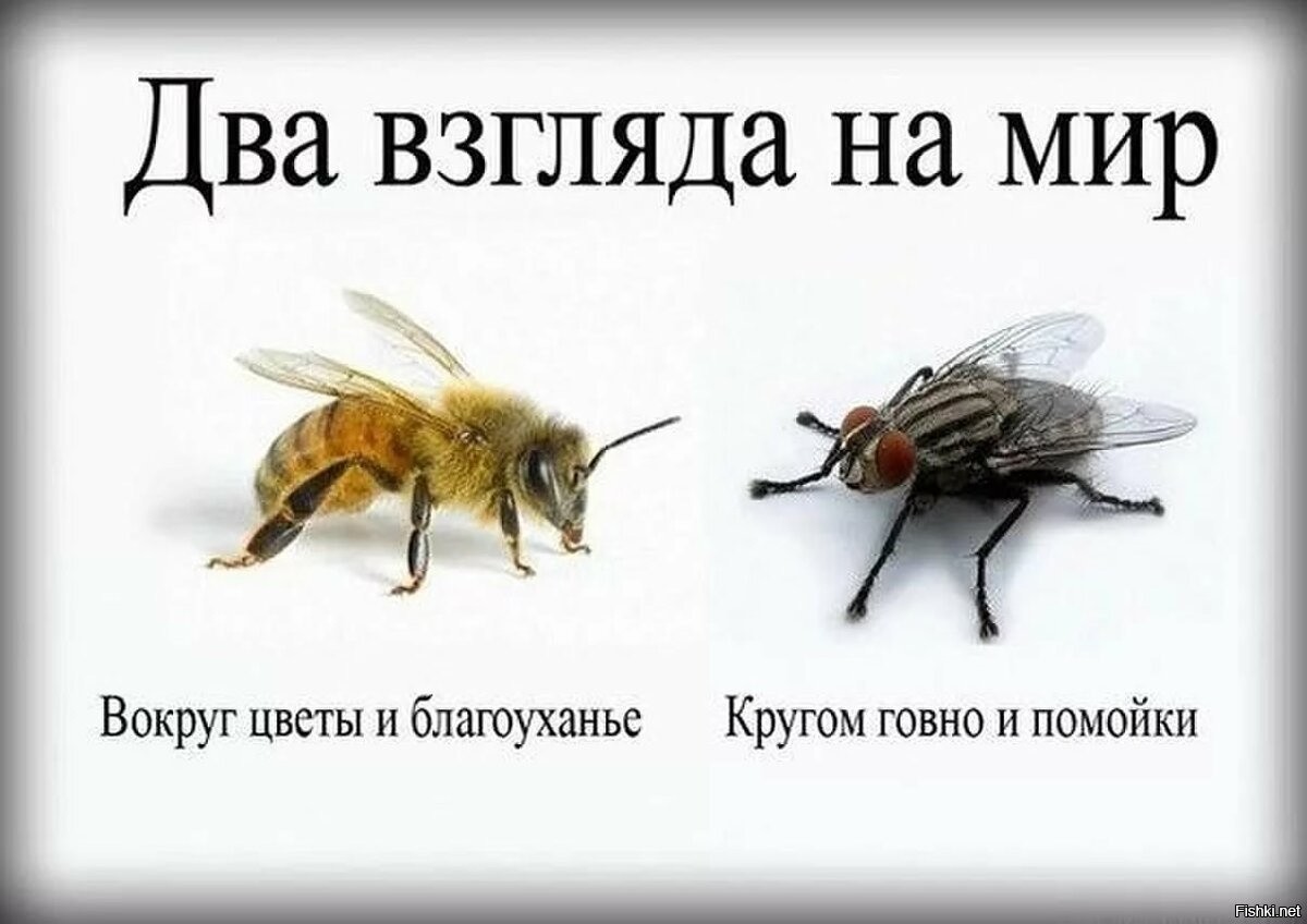 Не можешь научим не хочешь заставим схема