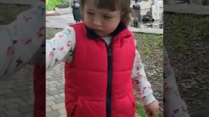 Майский жук