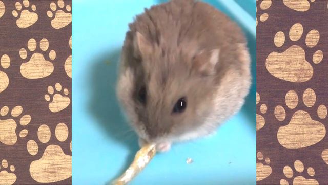 ИЗДЕВАТЕЛЬСТВО НАД СЁМОЙ смотреть онлайн