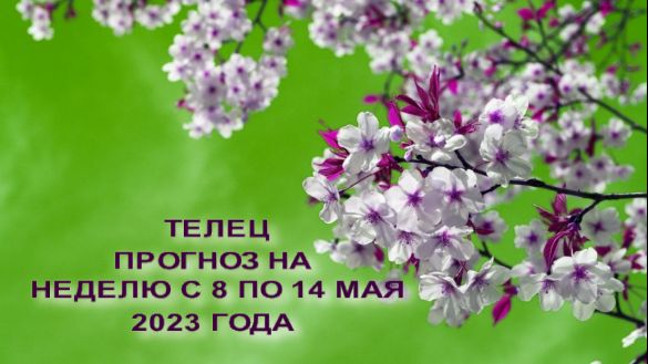 ТЕЛЕЦ ТАРО -ПРОГНОЗ НА НЕДЕЛЮ С 8 ПО 14 МАЯ 2023 ГОДА