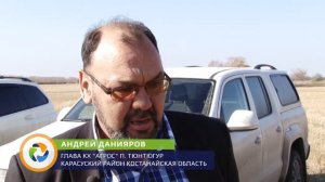Повышение урожайности и клейковины пшеницы благодаря технологии возделывания компании A.S.K. Techni
