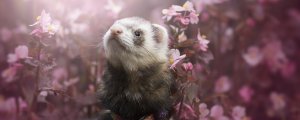 Митя шкодничает