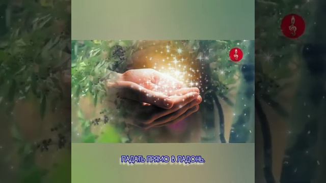 Будет время чудес - Музыка Виктора Хоборова, слова Саши Михайло́вича. смотреть онлайн