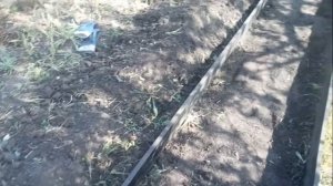 Деревянные грядки под клубнику