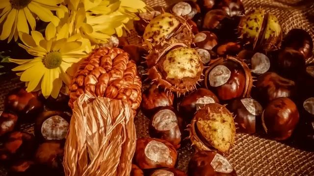 Ты просто прислуга, просто удобный вариант! - кричал муж, когда жена узнала что у него есть другая. смотреть онлайн