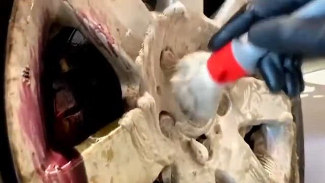 ferrum gel WB смотреть онлайн