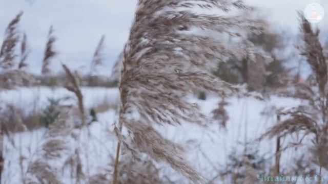 Хто сильніший? – Наталя Забіла