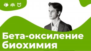 Бета-окисление высших жирных кислот. Роль КоА, карнитина. Расчеты. | На Биохимическом