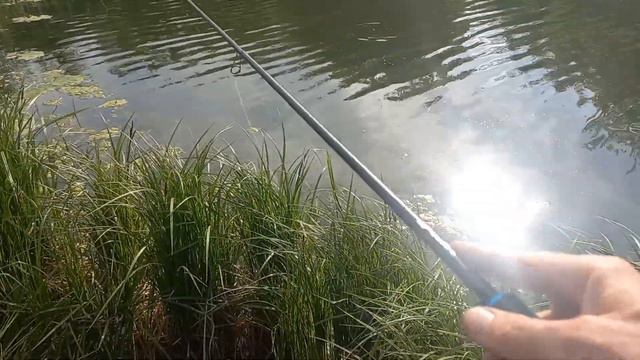 Рыбалка на Поплапопер с отводным поводком!!! смотреть онлайн