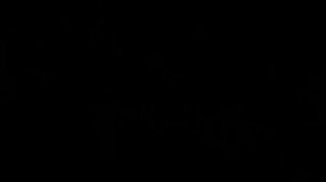 КАРЛСОН ДЕРДЕН | БОЙЦОВСКИЙ КЛУБ. КУЛЬТ САМОРАЗРУШЕНИЯ | Философия Бойцовского клуба