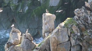 Чукотка"Непутёвые заметки 1"с Дмитрием Крыловым