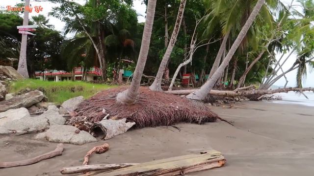 ПЛЯЖ ЭСТЕРИОС ОЭСТЕ | РЫБАЛКА В КОСТА-РИКЕ | COSTA-RICA