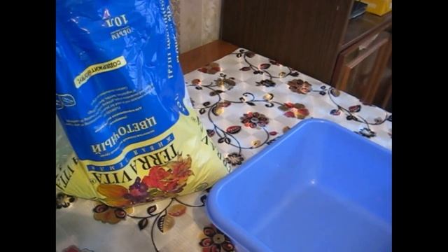 Подготовка грунта к посеву Почвенный комарик Как избавиться от грибного комарика или мушки смотреть онлайн