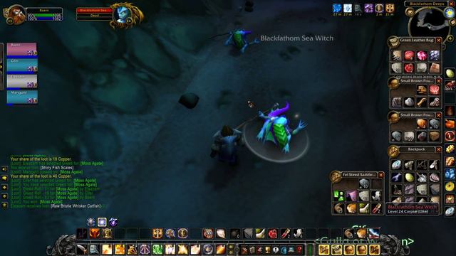 Dwarf Paladin - Blackfathom Deeps (RP leveling) // WoW Classic