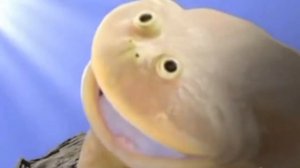 лягушки орут мем