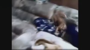 Посмотрите такого никто еще не видел Кот сам додумался это сделать