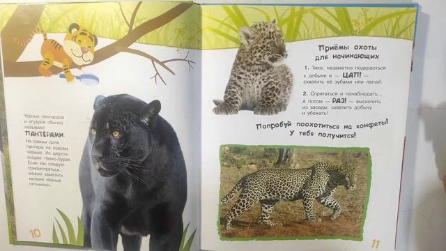 Дикие кошки смотреть онлайн